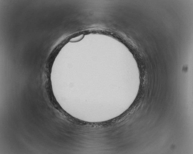 X0000116861400201001191651