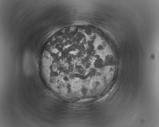 X0000116861401201001191651