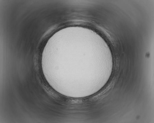 X0000116861403201001191652