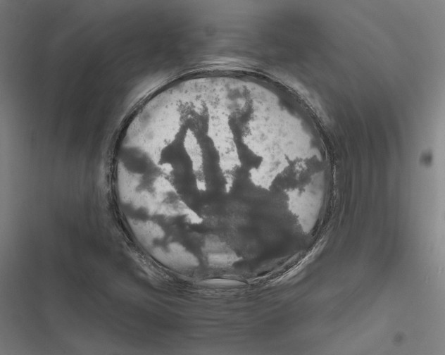 X0000116861405201001191652