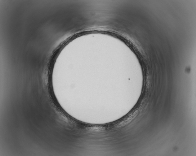 X0000116861406201001191652