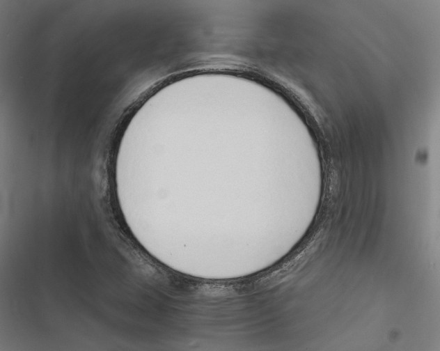 X0000116861407201001191652