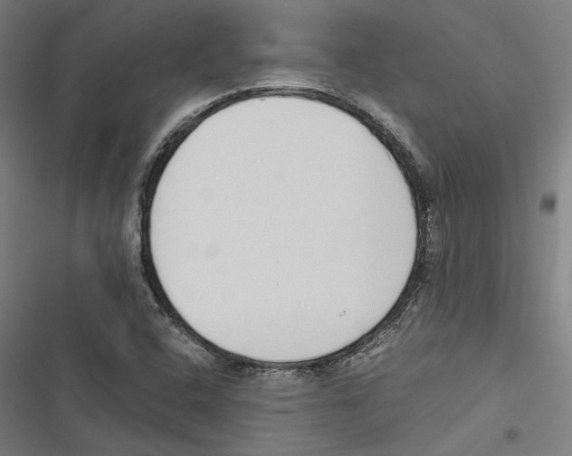 X0000116861408201001191652