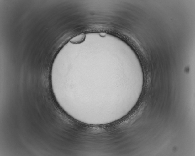 X0000116861409201001191652