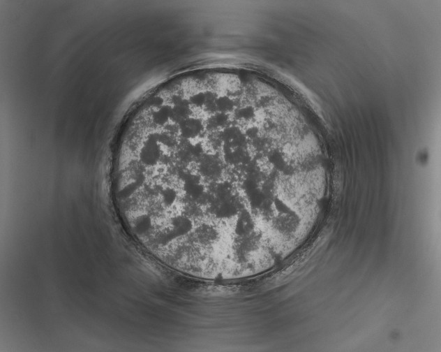 X0000116861411201001191652