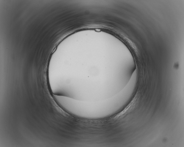 X0000116861417201001191652