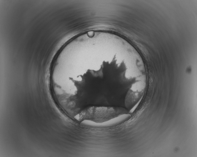 X0000116861418201001191652