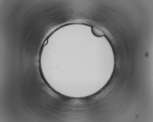 X0000116861420201001191652