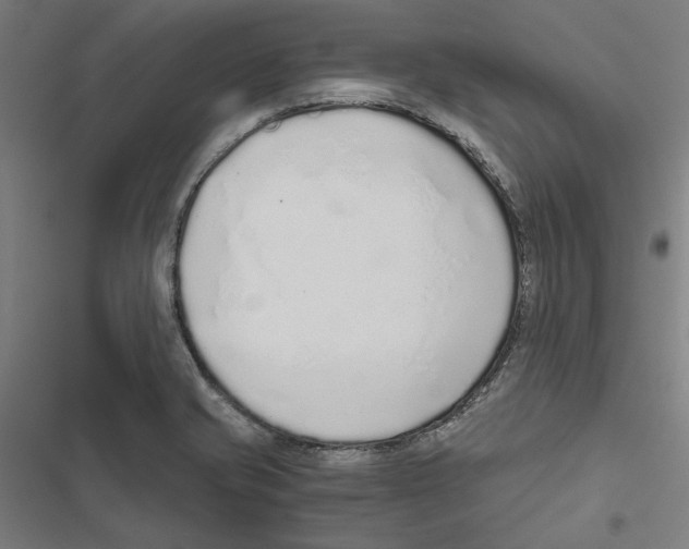 X0000116861421201001191652