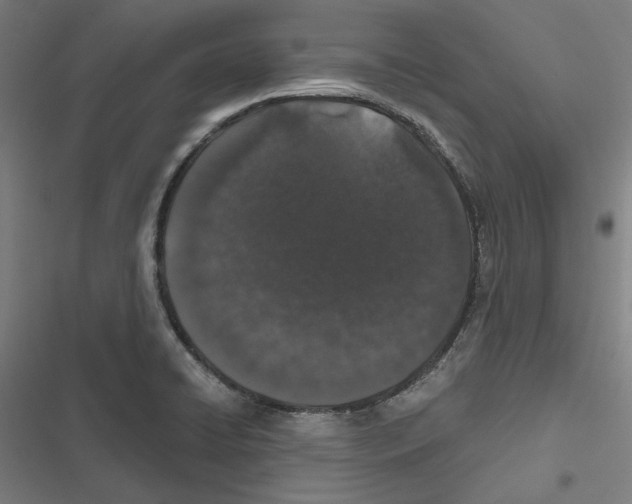 X0000116861422201001191652