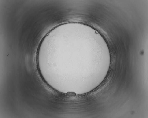 X0000116861423201001191652