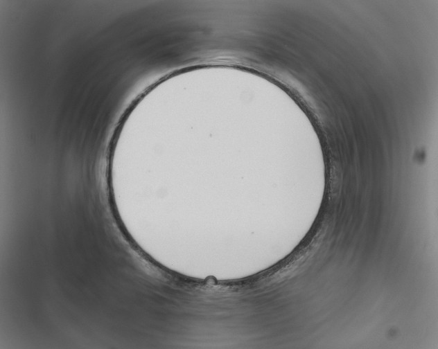 X0000116861424201001191652