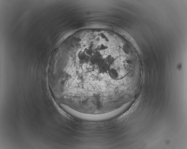 X0000116861425201001191652