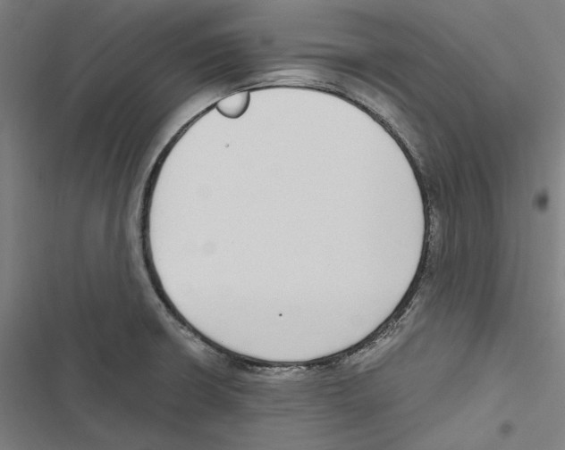 X0000116861426201001191652