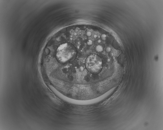 X0000116861427201001191652