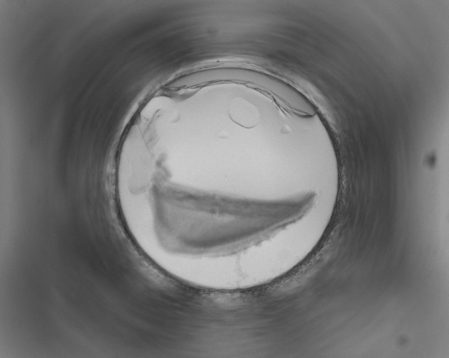 X0000116861428201001191652