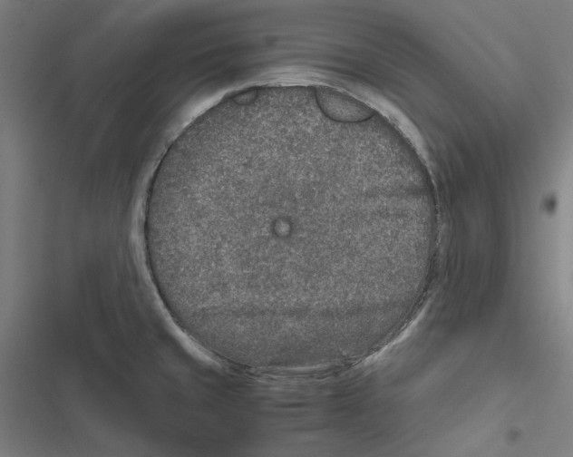 X0000116861429201001191652