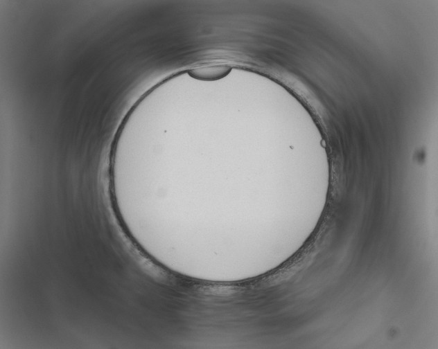 X0000116861431201001191652