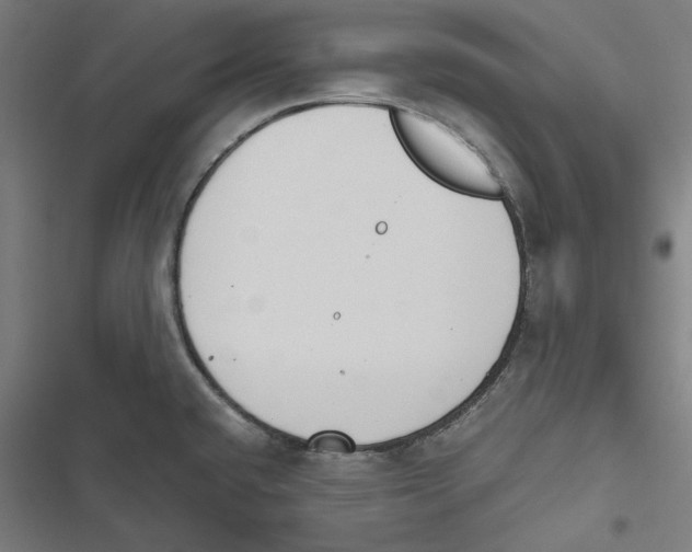 X0000116861432201001191652