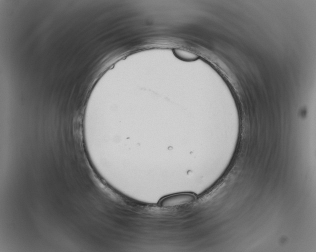 X0000116861433201001191652