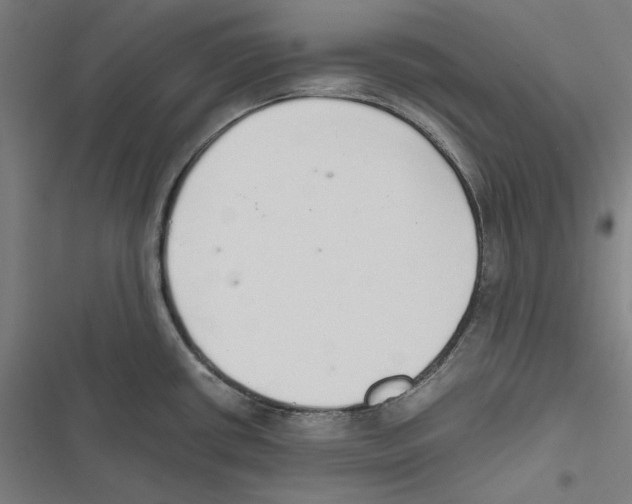 X0000116861434201001191652