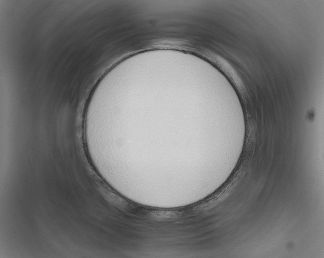 X0000116861435201001191652