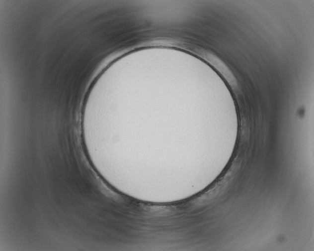 X0000116861436201001191652