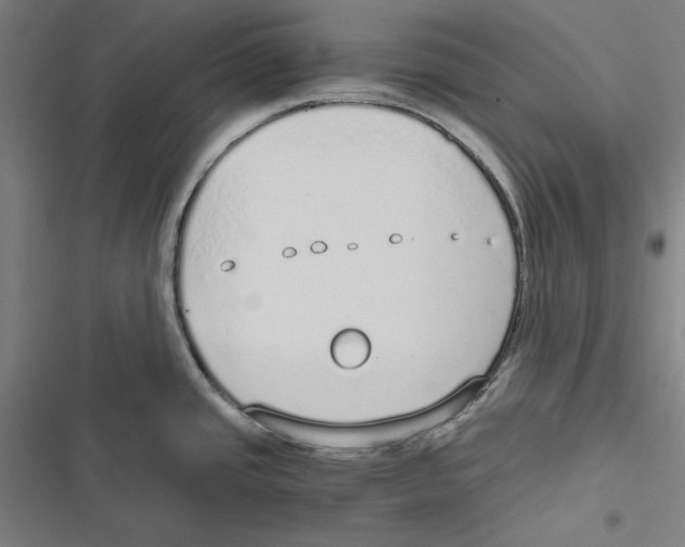 X0000116861437201001191652