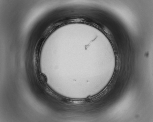 X0000116861438201001191652