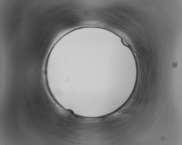 X0000116861440201001191652