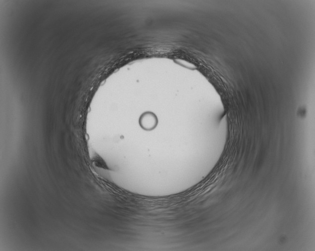 X0000116861441201001191651