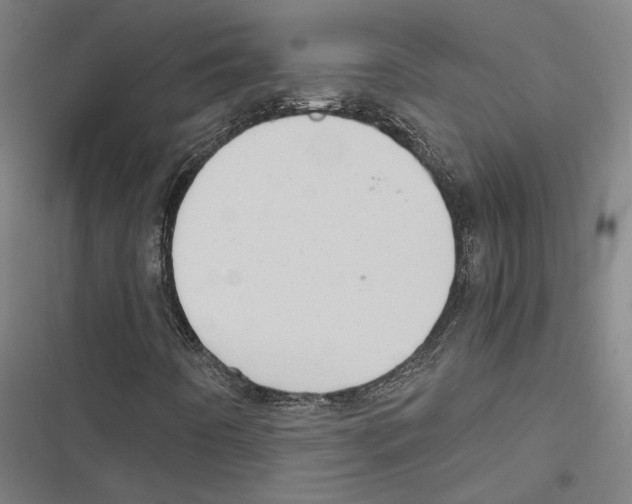 X0000116861442201001191651