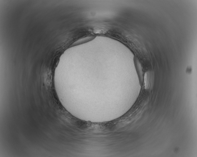 X0000116861443201001191651