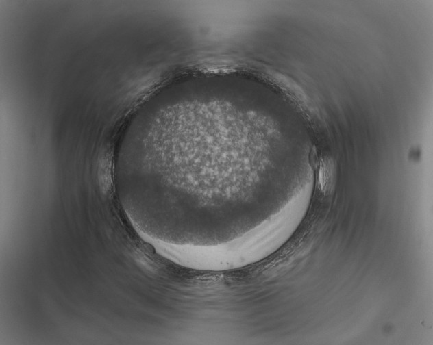 X0000116861444201001191651