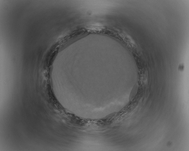 X0000116861445201001191651