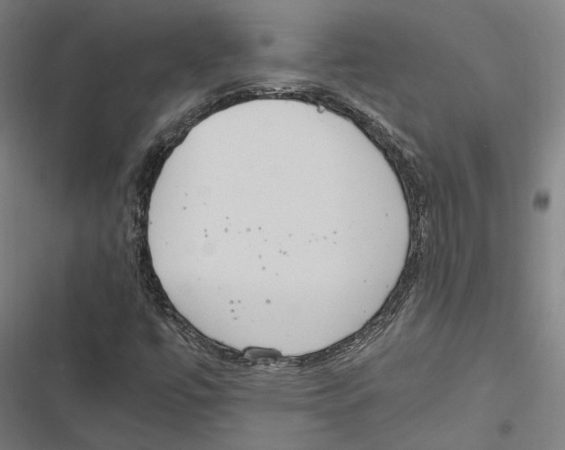 X0000116861447201001191651