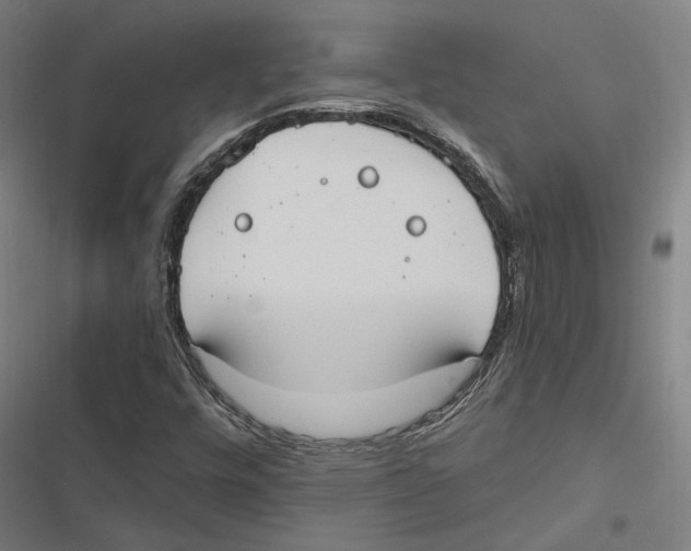 X0000116861448201001191651