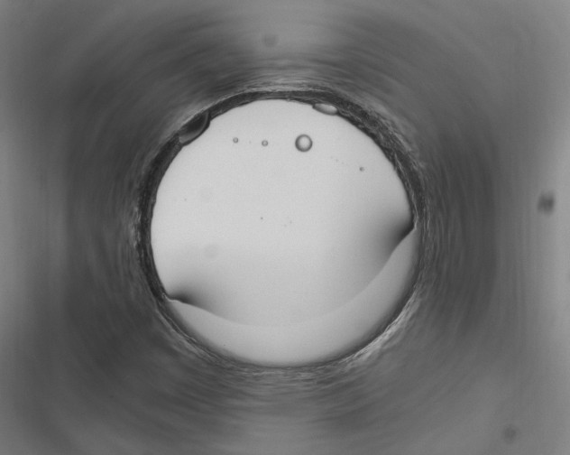 X0000116861449201001191651