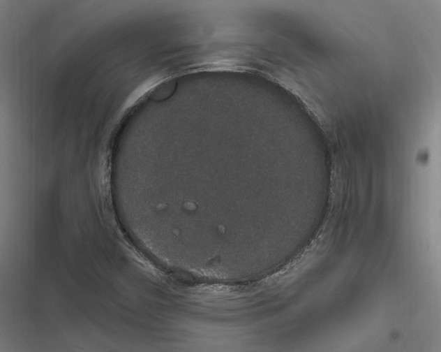 X0000116861450201001191651