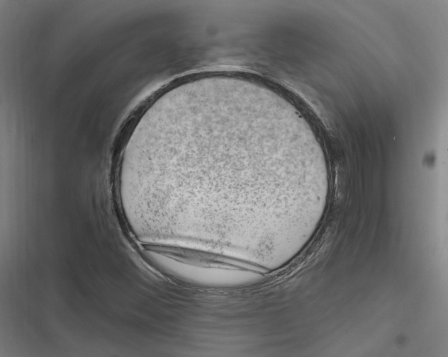 X0000116861452201001191651