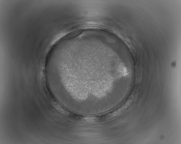 X0000116861453201001191651