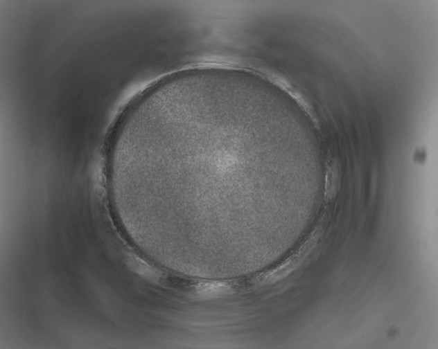 X0000116861454201001191651