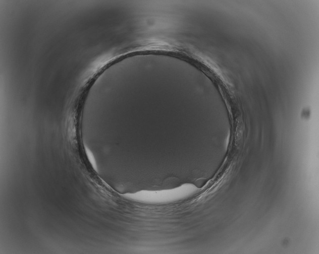 X0000116861455201001191651