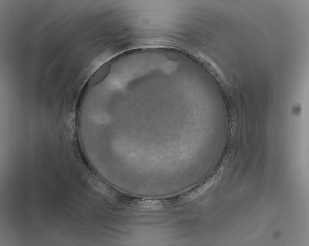 X0000116861457201001191651