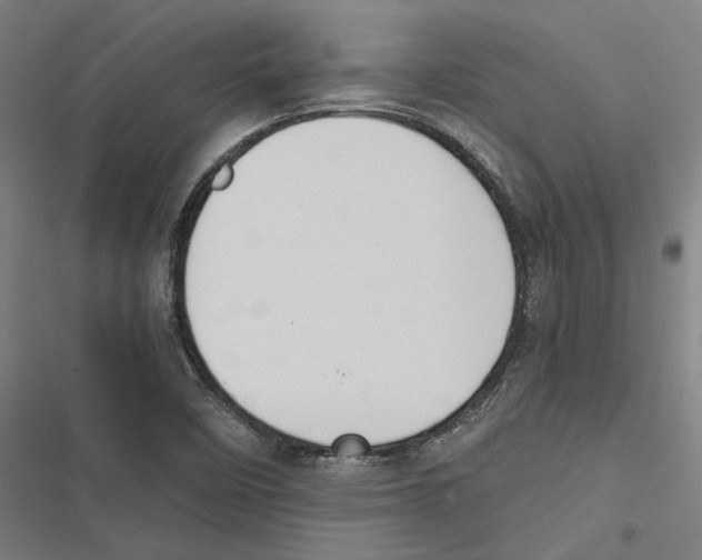 X0000116861458201001191651