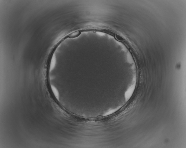 X0000116861459201001191651