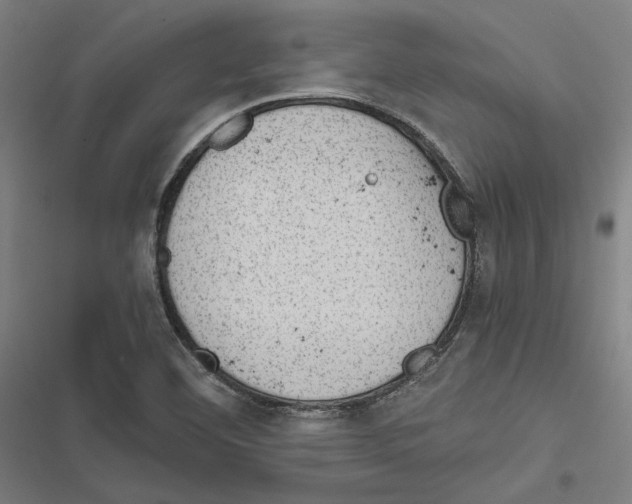 X0000116861460201001191651