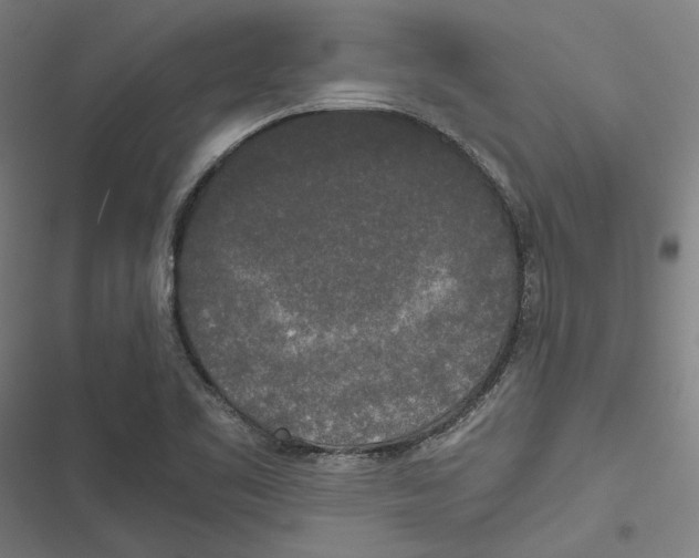 X0000116861461201001191651