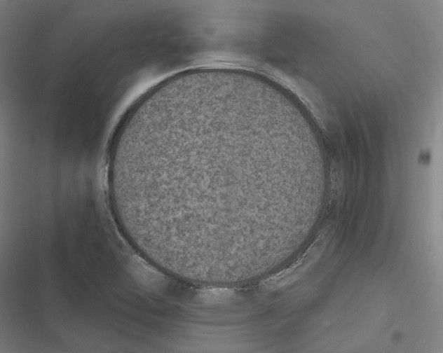 X0000116861462201001191651