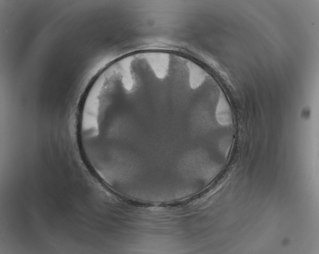 X0000116861463201001191651